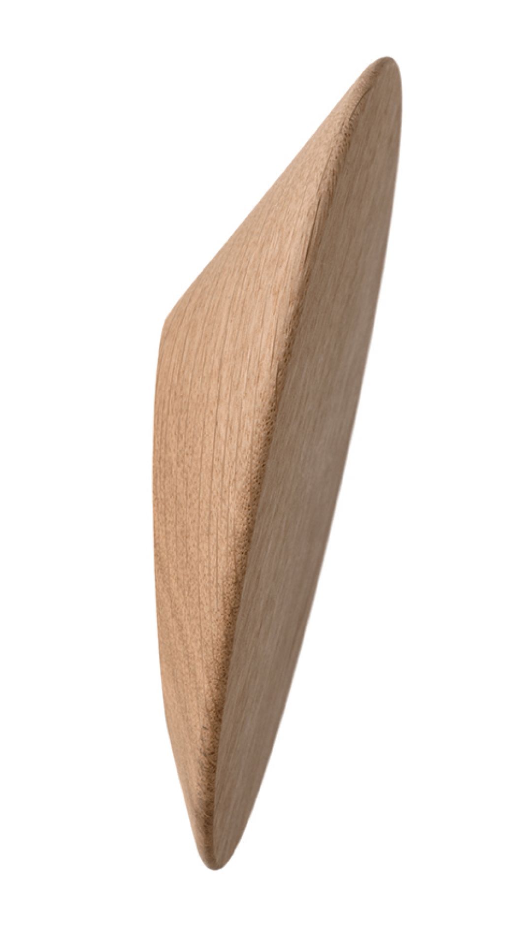 Disk Wandhaken Schönbuch
